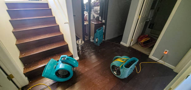 Water damage restoration mold remediation in IL