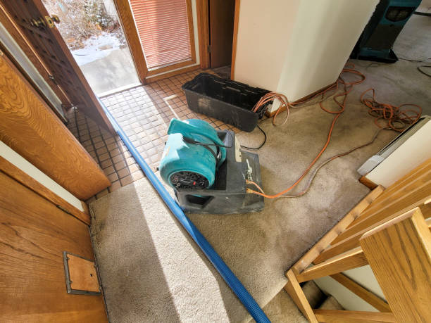 Best Water damage restoration process  in Galva, IL