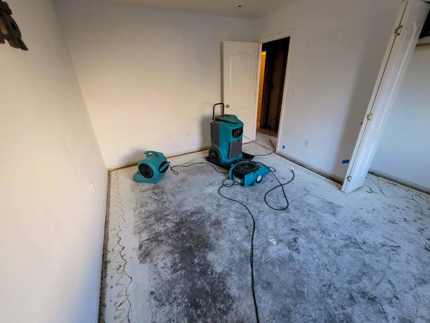 Best Water damage cleanup near me  in Galva, IL