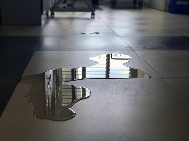 Best Water damage restoration near me  in Galva, IL