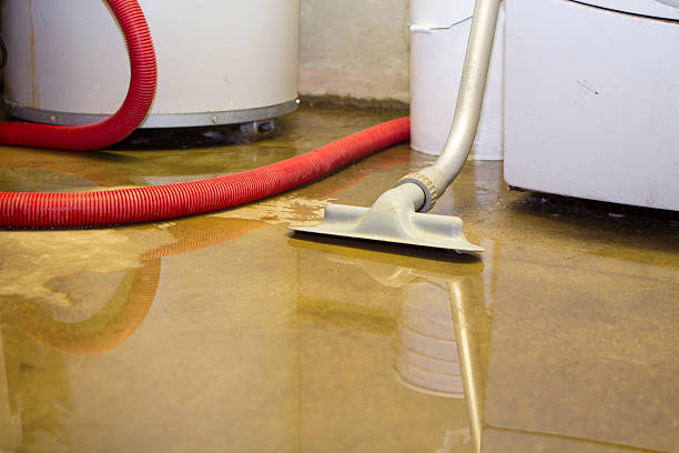 Best Sewage cleanup and water damage restoration  in Galva, IL