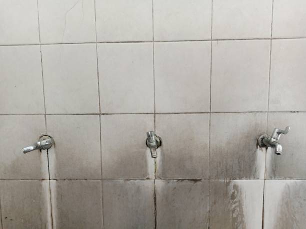 Best Emergency water damage restoration  in Galva, IL