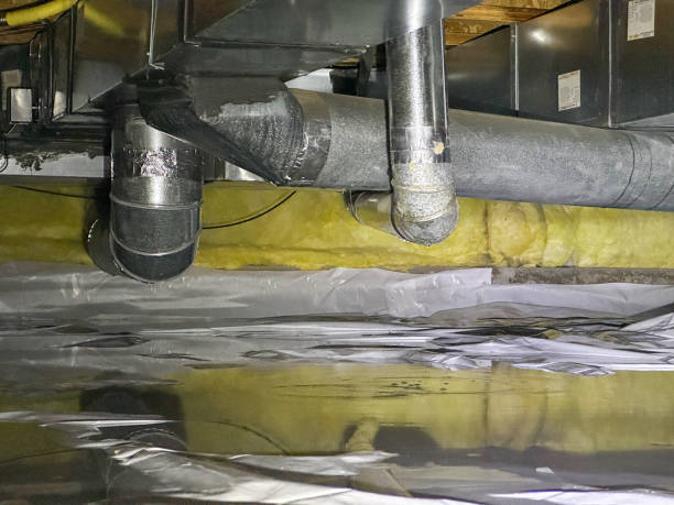 Best Local water damage restoration  in Galva, IL