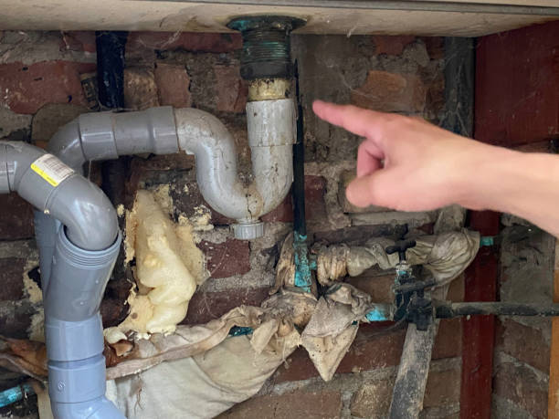  Galva, IL Water damage restoration Pros
