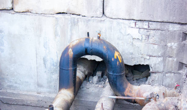 Best Flood damage cleanup  in Galva, IL