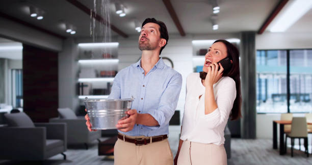 Best Water damage repair service  in Galva, IL