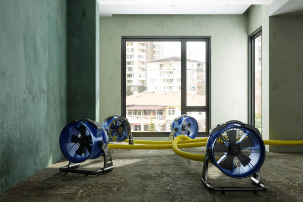 Best 24/7 water damage repair  in Galva, IL
