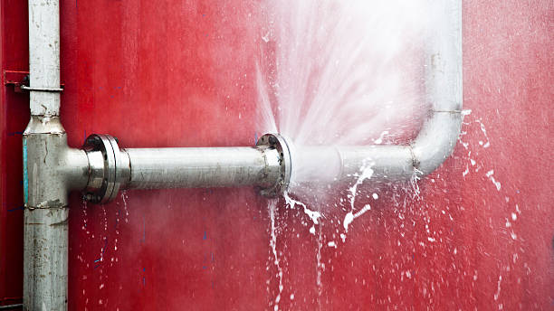 Best Flood restoration services  in Galva, IL