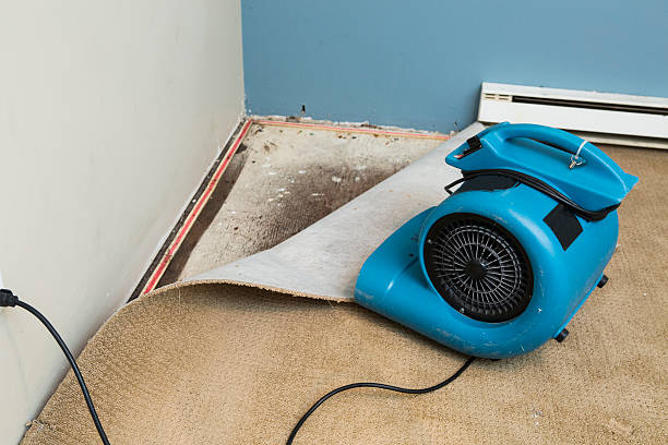 Best Fire Damage Restoration  in Galva, IL