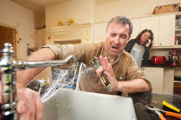 Best Flooded house restoration  in Galva, IL
